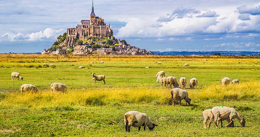 Mont Saint Michelle with grazing sheep